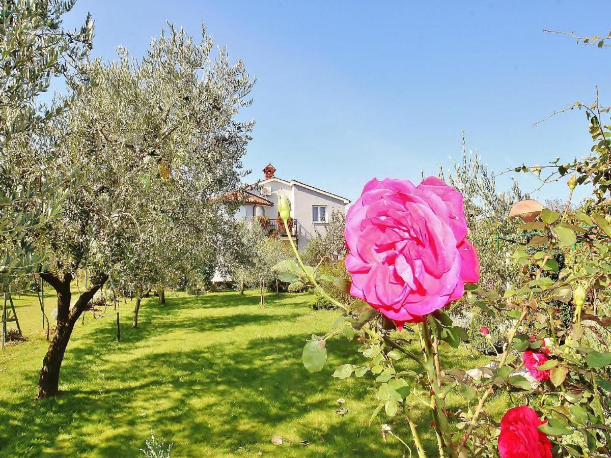 Apartments Durda Фажана Экстерьер фото
